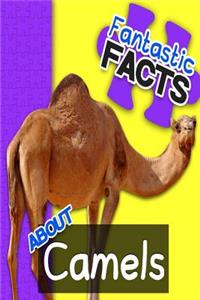 Fantastic Facts about Camels