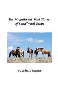 Magnificent Wild Mustangs Of Sand Wash Basin