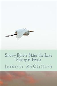 Snowy Egrets Skim the Lake: Poetry & Fiction