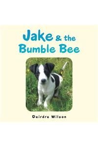 Jake & the Bumble Bee