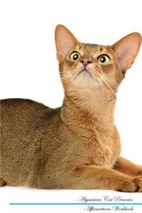 Abyssinian Cat Affirmations Workbook Abyssinian Cat Presents