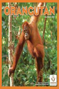 ORANGUTAN SQUARE WALL CALENDAR 2021