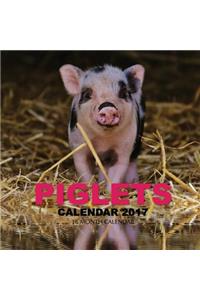 Piglets Calendar 2017