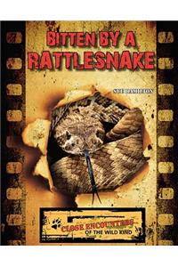 Bitten by a Rattlesnake