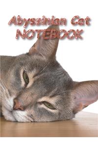 Abyssinian Cat NOTEBOOK