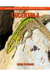 Lucertola