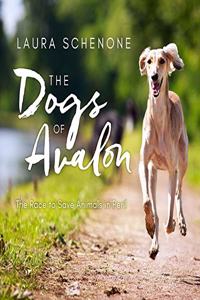 Dogs of Avalon Lib/E