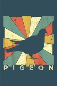 Pigeon