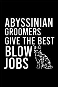 Abyssinian Groomers Give the Best Blow Jobs