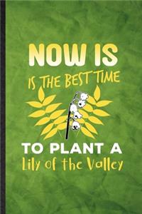 Now Is the Best Time to Plant a Lily of the Valley