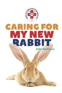 Caring for My New Rabbit