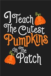 I Teach The Cutest Pumpkins In The Patch