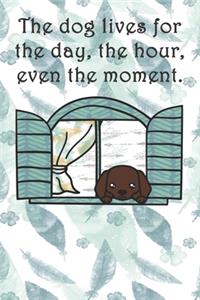 dog lives for the day, the hour, even the moment.
