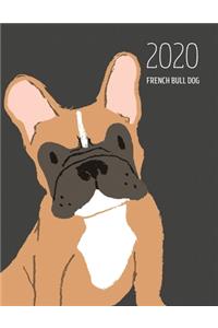 2020 French Bull Dog: Dated Weekly Planner With To Do Notes & Dog Quotes - French Bull Dog Brown