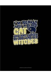 I'm Really Just a Black Cat That Was Cursed by 300 Year Old Witches