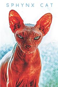 Sphynx Cat
