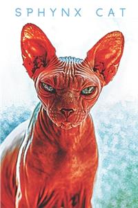 Sphynx Cat