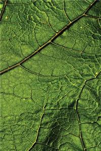 Leaf Veins Journal