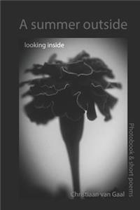 A summer outside Looking inside