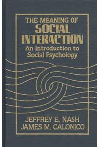 Meaning of Social Interaction