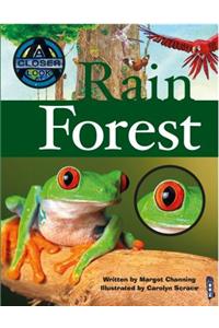 Rain Forest