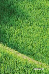 Journal Pages - Green Grass(Unruled)
