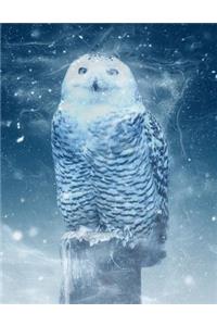 Snow Owl Notebook