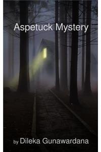 Aspetuck Mystery