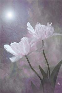 White Petals Journal
