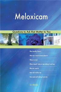 Meloxicam 478 Questions to Ask that Matter to You