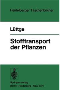 Stofftransport Der Pflanzen