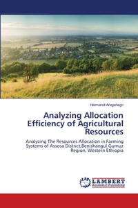 Analyzing Allocation Efficiency of Agricultural Resources