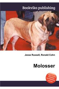 Molosser