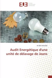 Audit Energétique d'une unité de délavage de Jeans