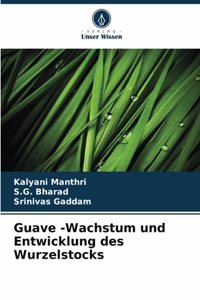 Guave -Wachstum und Entwicklung des Wurzelstocks