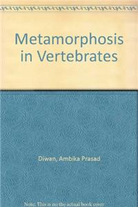 Metamorphosis in Vertebrates
