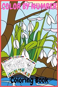 Color by number coloring book
