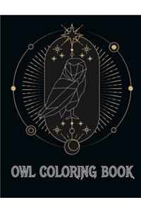 Owl Coloring Book