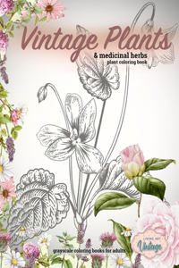 Vintage plants & medicinal herbs plant coloring book. Grayscale coloring books for adults: Vintage Herb coloring book, Coloring books for adults flowers, Medicinal plants coloring books