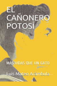 Cañonero Potosí