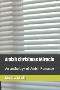 Amish Christmas Miracle