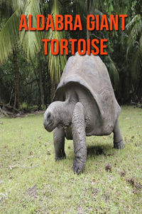 Aldabra Giant Tortoise