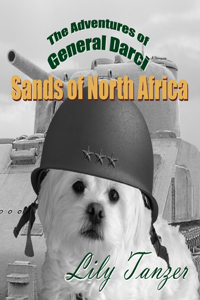 Adventures of General Darci