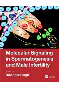 Molecular Signaling in Spermatogenesis and Male Infertility