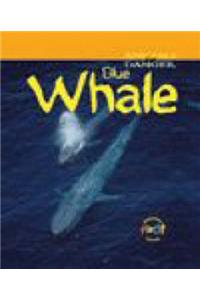Animals in Danger: Blue Whale (Cased)