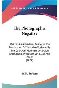 Photographic Negative