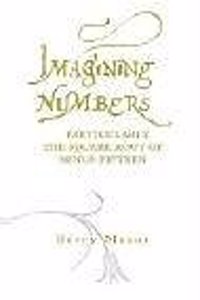Imagining Numbers
