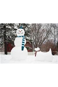 Snowman & Snowdog Notecards