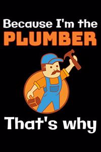 Because I'm the Plumber that's why