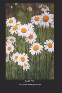Large Print - 2020 - 15 Months Weekly Planner - Pushing Up Daisies